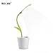 Kids Desk Lamp USB Rechargeable Table Light LED for Children Study Reading Bedside Lamp with Touch Control and Pencil Holder (Fresh Green)