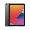 2020-Apple-iPad-102-inch-Wi-Fi-128GB-Space-Grey-8th-Generation Apple 2020 iPad (10.2-inch, Wi-Fi, 128GB) - Space Grey (8th Generation)