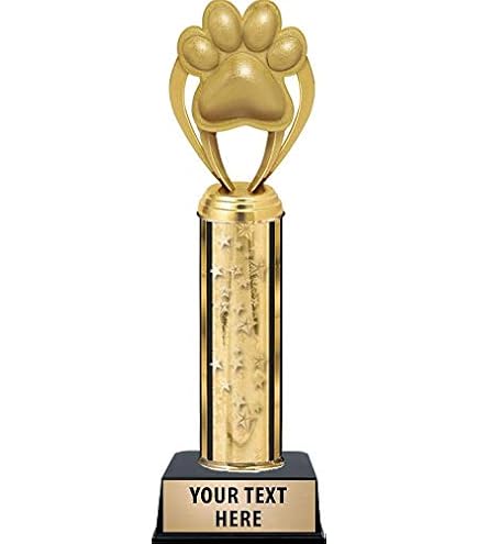 Trophée De Boxe Tecnocoppe - Hauteur 19 Cm, ABS Doré Et Base Marbre, Avec Plaque Personnalisée Offerte