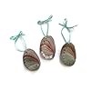 Tropical Small Abalone Seashell Christmas Tree Ornaments, Set of 3, Nautical and Beach Holiday Decor 31C2Cy aMWL. SS100