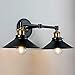 Linea di Liara Andante 2 Light Bathroom Vanity Light Industrial Gold and Matte Black Light Fixtures Above Mirror Light Farmhouse Vanity Lights for Bathroom Lighting, Bulb Included
