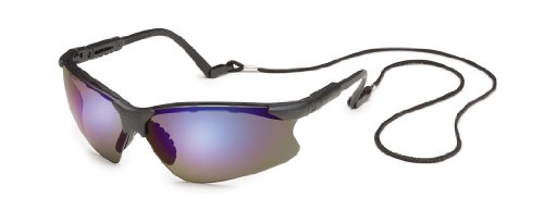 Gateway Safety 16GB79 Scorpion Adjustable Safety Glasses, Clear Anti-Fog Lens, Black Frame