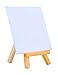 MEEDEN Mini Canvases with Easels, 12 Pack 4 x 4 Inch Mini Canvas Panels with 5 Inch Solid Pine Wood Display Easels for Paintings Craft Small Acrylics Oil Art Projects