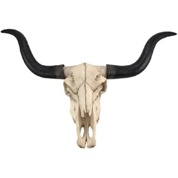 Long Horn Cow Skull Wall Hanging Longhorn Steer