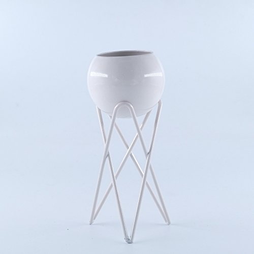 Pack of 2 Tabletop Standing Air Plant Holder Air Plant Stand Air Plant Container Xerographica Air Plant Holder Air Plant Support Tillandsia Air Plant Stand (White)