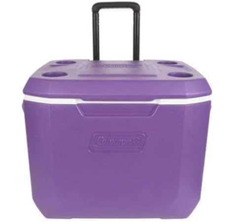 40 litre mains and 12v & 24v electric coolbox