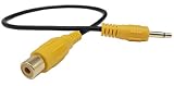 3.5mm RCA Video Cable,Gold Plated 3.5mm Mono Mini Male to Single RCA Female SinLoon Video Cable for car DVR,Carcorder,Surveillance Camera Equipment(10inch,3.5mo RCA F)
