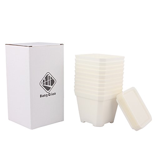 BangQiao 3.90 Inch Plastic Flower Pots for Plants,Cutting,Seedlings, Pack of 10 (white)