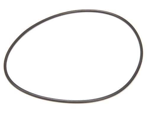 CMA Dish Machines 03226.70 VOLUTE O-RING FOR SS PUMP (03226.70)