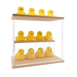 LONG TAO Clear Acrylic Display Case with Shelf
