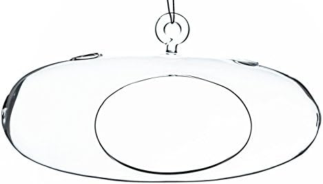 8" Oval Hanging Terarium with WGV Cloth By WGV
