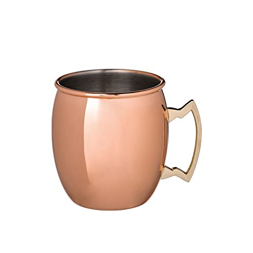 Annapurna Copper Plated Moscow Mule Mug, 17 oz (Set of 1)
