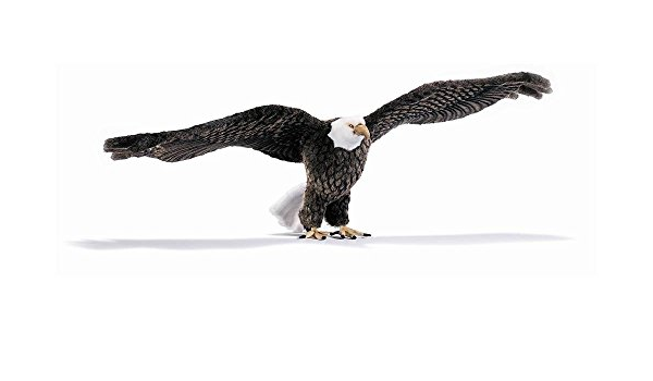 stuffed eagle