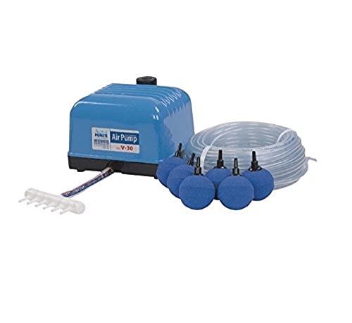 AquaForte Hi-Flow V-30 Luftpumpenset, Komplettset mit Luftverteilern, 25 m Schlauch 4 x 6 mm und 6 Luftsteine 5 cm, Kapazität bei 2 Meter 7 Liter pro