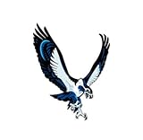 Seattle Seahawks NFL car bumper sticker decal (4