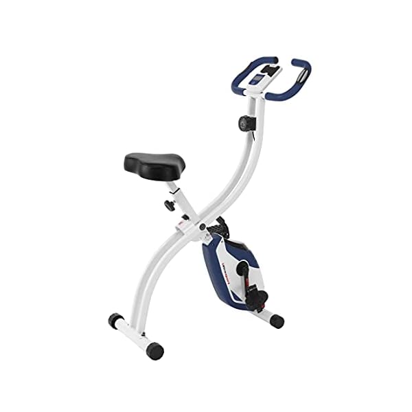 Ultrasport F-Bike, Folding Exercise Bike with Training Computer, Adjustable Resistance Levels and Hand Pulse Sensors…