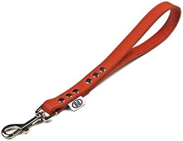 Buddy Belts Classic Collection Traffic Pet Leash, 3/4-Inch by 1-Feet, Red