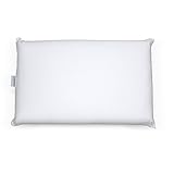 Fashion Bed Group Sleep Plush Latex Foam Pillow, Standard / Queen