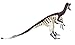 Carnegie Collection: Velociraptor