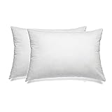 Queen Pillows 2 Pack - Fine Microfiber Fabric Filled with Premium Super Plush, Soft and Fluffy Poly Fiber Fill - Hypoallergenic, Dust Mite Resistant - 100% Satisfaction Guarantee - Crafted in USA