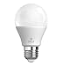 SELS LED A19 60-Watt Equivalent LED Light Bulb, E26 Standard Base, Soft White (3 Pack)