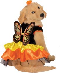 Monarch Butterfly Pet Pet Costume - Small