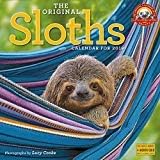2019 Sloths Wall Calendar