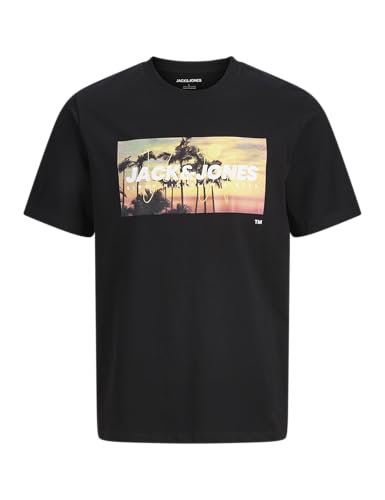 Jjindiana Tee Ss Crew Neck