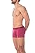 Obviously - Downtown - AnatoMAX Boxer Brief 3 inch Leg (Large, Red Brick)
