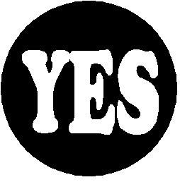 YES Pinback Button 1.25" Pin / Badge