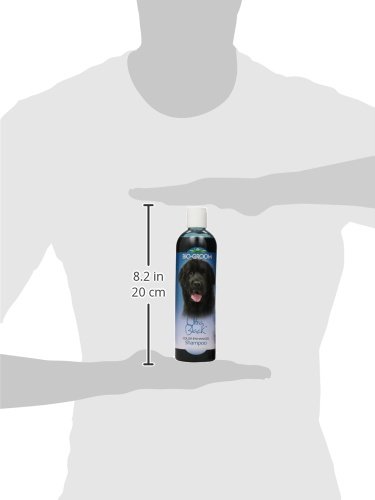 Bio-Groom Ultra Black Color Enhancer Pet Shampoo, 12-Ounce