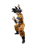 TAMASHII NATIONS - Dragon Ball Super: Super Hero
