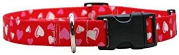 Loopy Hearts Canine Collar