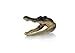 Newport Jerky Company Genuine Taxidermy American Alligator Head (5-6 Inch)
