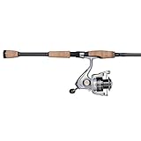 Pflueger Trion Spinning Combo