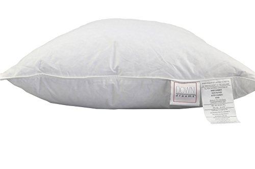 classic too exclusively by down dreams