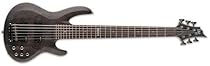 ESP LB206SMSTBLKS 6-String Bass Guitar, Black Satin
