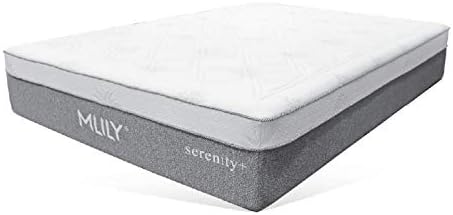 MLILY Serene Elite Memory Foam Mattress (King)