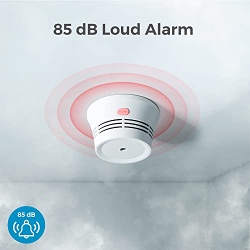 AEGISLINK Fire Alarm Smoke Detector with Photoelectric Sensor, 10-Year Battery Smoke Alarm, S220