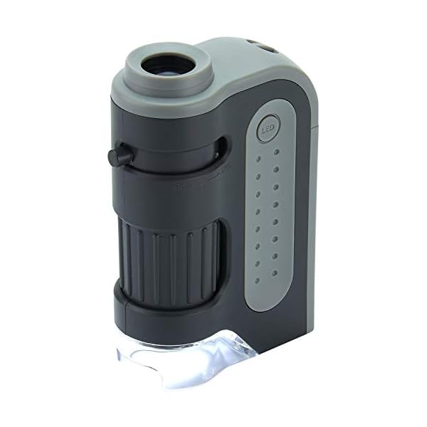 Carson MicroBrite Plus 60x-120x LED Taschenmikroskop mit asphärischem Linsensystem (MM-300)