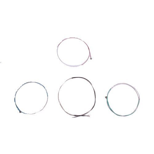 D Z Strad Violin Strings-Student Level