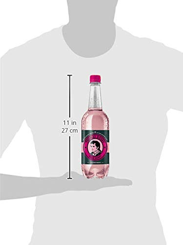 Thomas Henry Wild Berry | verlockend-fruchtige Wildbeeren | Premium-Mixer | für den perfekten Aperitif | 6 x 750ml Einweg – Bild 4