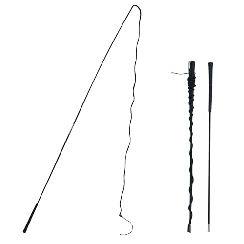 Lontcs Lunge Whip