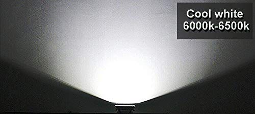 Tree Leds Camper Motorhome Outdoor 12 Volts LED Fixture Cover Utility RV Exterior Light Cool White Flood Beam Light (Pack of 1)