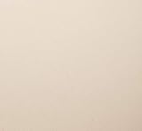 Arthouse Japanese Garden Ochre Wallpaper 53cm x 10.05m Roll view 2