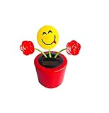 Binory Solar Powered Flower Animal Dancing Swinging Animated Office Desk Window Dancer Toy,Car Windowsill Decoration New Selling Novelty Action Figuers Toys Birthday Gift for Kids Adults(H)