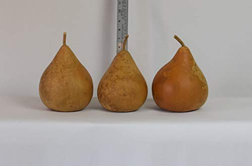 Box of 3 Dried Martin Gourds - 5" Diameter