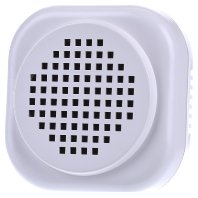 BTicino 336910 Doorbell Speaker