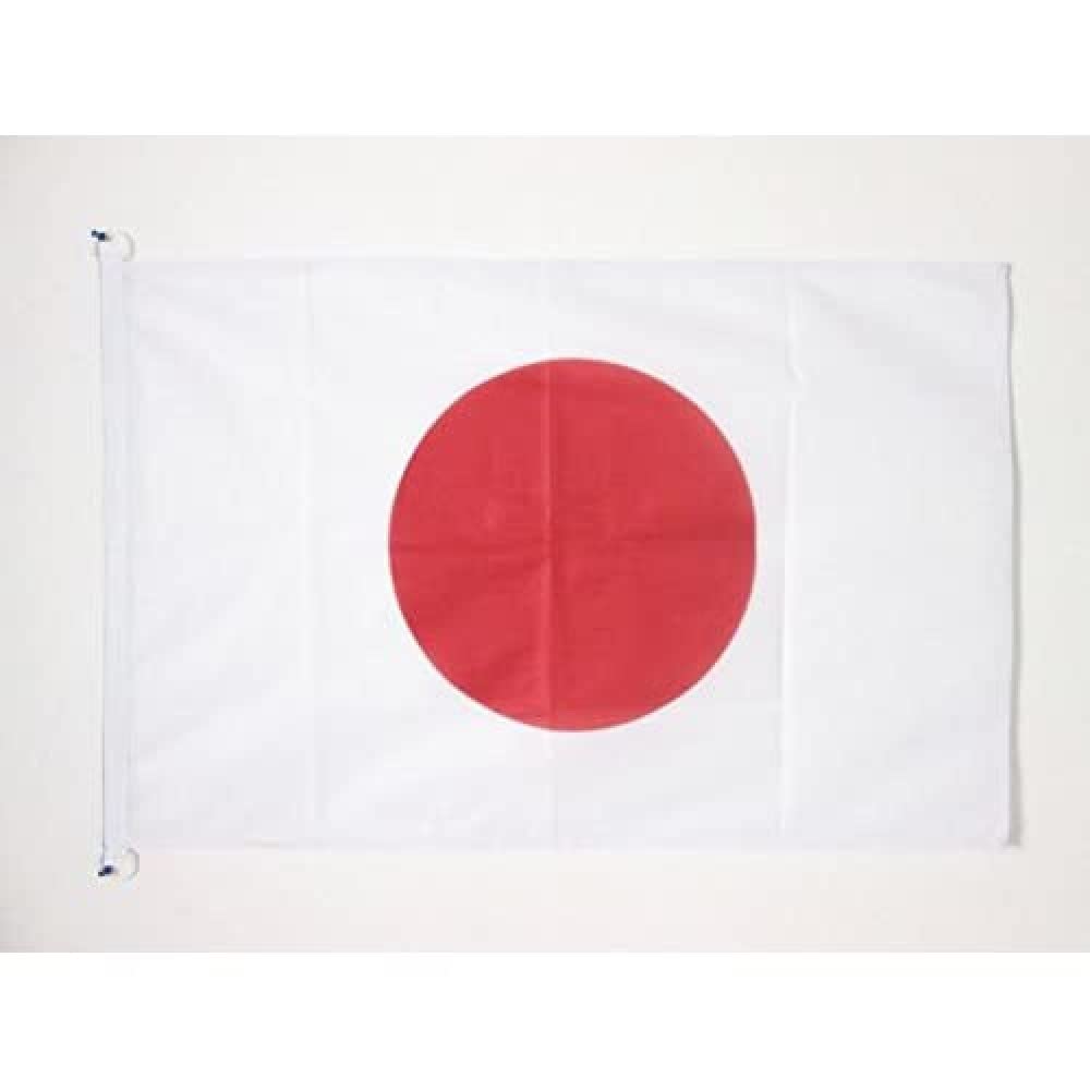 AZ FLAG - Japan Flag - 2x3 Ft - For Outdoor - Japanese Banner Knitted Polyester with Two Plastic Rings - Fade Resistant - Vivid Colors - 2' x 3' Feet - 90x60 Cm