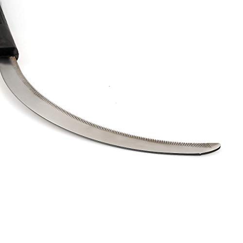 Solid Aim Tools, Tropical Serrated Grass Hook Cutter,Pure Steel Blade Light Wight, ldea for Removing Unwanted Vines and Weeds. Overall All in Length 14 inches.by Present Natural.
